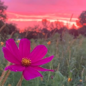 Meet your Posher, Kristin